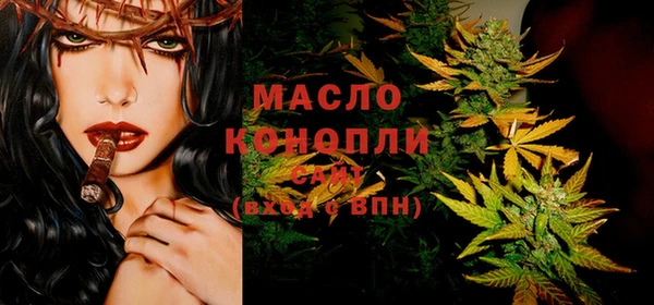 индика Апатиты
