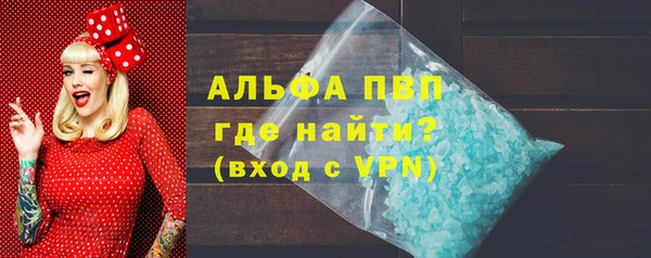 прущие грибы Магас