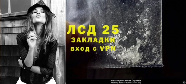 индика Апатиты