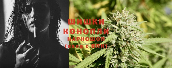 индика Апатиты