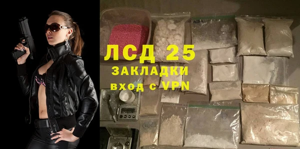 индика Апатиты